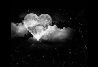 White bark has Balcony rooms