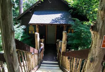 Oak Crest - The Chateau Treehouse 11 has Balcony rooms