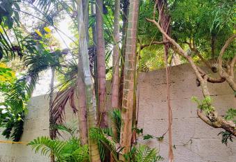 GoGoNuts Hostel allows 18 year olds to book a room