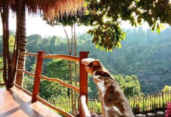 Dreamy Eco Tree House by 7 Waterfalls allows 18 year olds to book a room