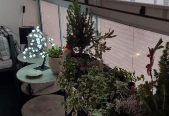 Arctic Star with sauna has Balcony rooms