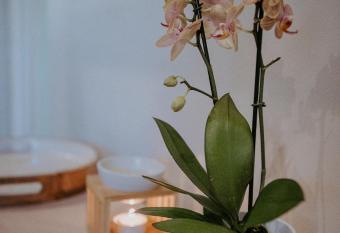 Lavender BnB has Balcony rooms