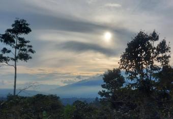 Estancia Caf   Cosecha Real has Balcony rooms