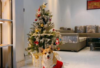 C  c cu Homestay 2 MTP has Balcony rooms