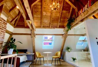 Un petit nid atypique au c  ur de Munster allows 18 year olds to book a room