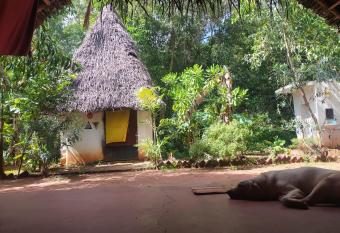 Bongypsy Eco-Hut Stay has Smoking rooms