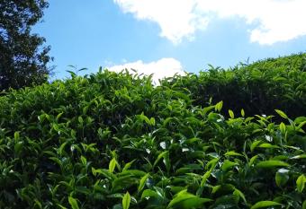 The Retreat Sweety 3BR H/Stay has Balcony rooms