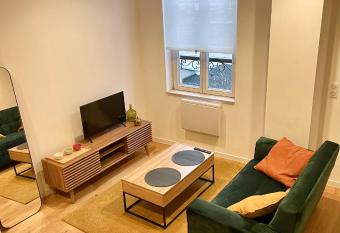 F2 dans h  tel particulier en centre ville pi  tonnier allows 18 year olds to book a room