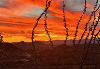 Space Cowboys Camping, Bring your own tent allows 18 year olds to book a room