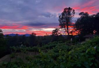 The God Spa allows 18 year olds to book a room