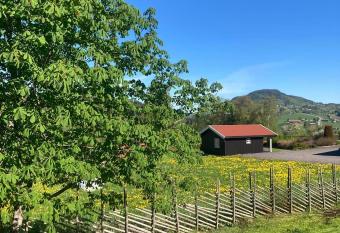 Hadelandsdr  mmen Resort has Balcony rooms
