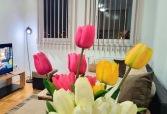 Apartman Disneyland Bijeljina has Balcony rooms