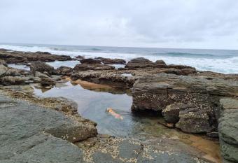 A Gem in Clansthal has Balcony rooms