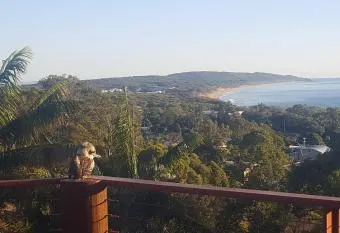 Ohana Hut has Balcony rooms