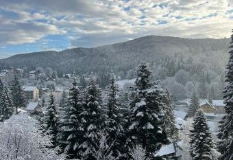 Vila Predeal Holidays has Balcony rooms