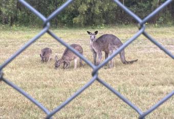 Holiday Home Werrington Downs has Balcony rooms