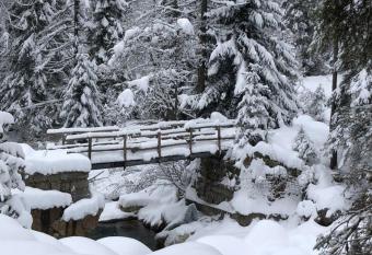 Casa All Alpe Gaggetto allows 18 year olds to book a room