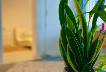 Sch  nes 3-Zimmer Appartement Essen has Balcony rooms