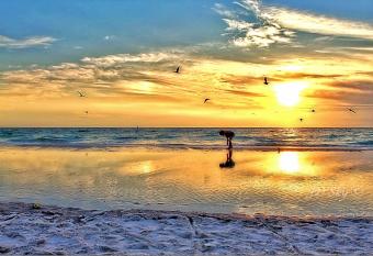 Treasure Island Beach Retreat Sleeps Up To 3 has Balcony rooms