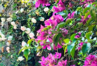 Villa Ida Seascape has Balcony rooms