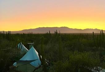 WIND RIDER HOTEL has Balcony rooms