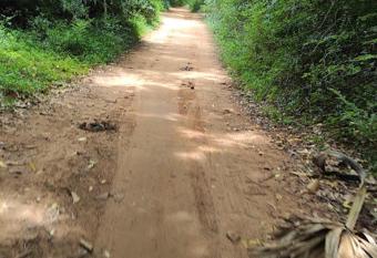 Suhana Beula Guest House has Balcony rooms