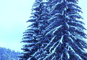 Berg Ich Liebe Dich Private Cabin has Balcony rooms