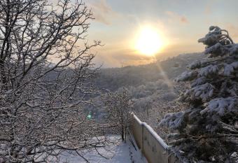 Small Home with an outdoor area close to Tbilisi allows 18 year olds to book a room