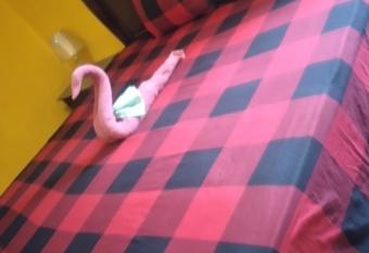 Pool house has Balcony rooms