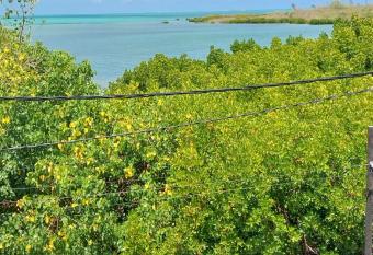 LAGON BLEUE has Balcony rooms