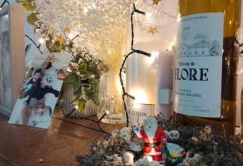 Tr  s bel appartement    Mulhouse 53m2 allows 18 year olds to book a room