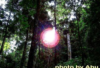 Lanta Natural Hut has Balcony rooms