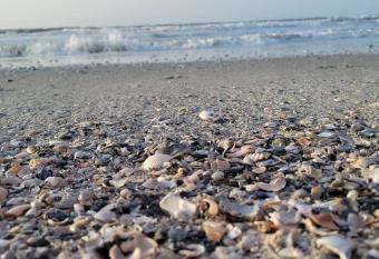 Gated Family 3br Waterview 5-7min drive to Beach! has Balcony rooms