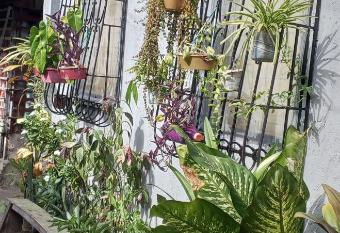 The Plant House in Iloilo City 12Pax has Balcony rooms