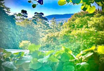 Mountain Cottage Room With Nature Views has rooms with a private hot tub