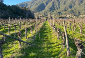 Vi  a en santa cruz has Balcony rooms