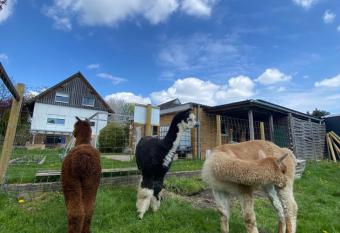 Elbinsel-Home    Alpakaliebe    has Balcony rooms