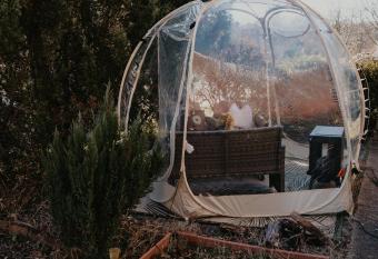 Cozy Pet friendly close to Old Town Alexandria allows 18 year olds to book a room