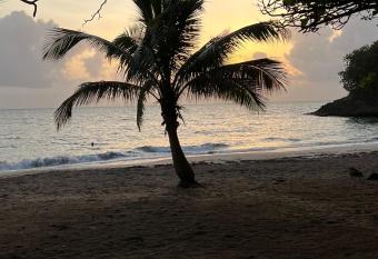 JODI has Balcony rooms
