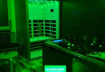 Nature&Spa Appartement avec Jacuzzi & Sauna priv   allows 18 year olds to book a room