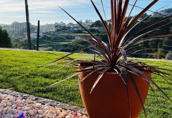 Emiliadourohouse has Balcony rooms