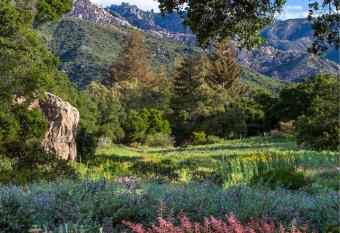 Santa Barbara Botanical Cabin has Balcony rooms