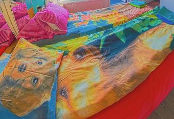 Helsinki Private-Yksityinen-               Room in Shared Apartment into Airport-BusTrain Station-University allows 18 year olds to book a room