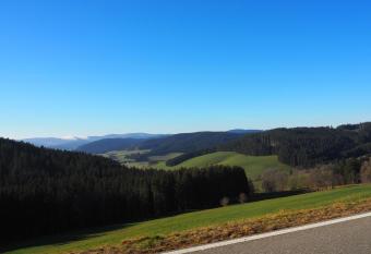 Landhotel Fuchs has Balcony rooms