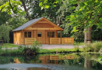 The Willow Cabin - Wild Escapes Wrenbury off grid glamping allows 18 year olds to book a room