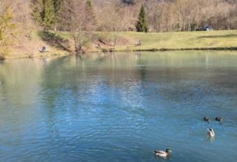 Beau studio plus, refait    neuf, tout confort has Balcony rooms