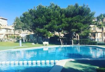 Apartment with Large Private Rooftop Solarium allows 18 year olds to book a room