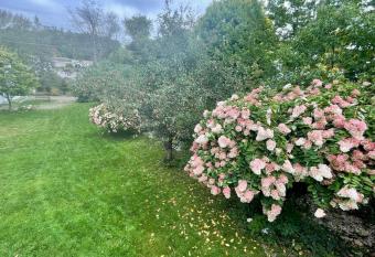 1 bedroom rental in Bancroft off Snowmobile Trail has Balcony rooms