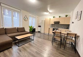    Appart  Fabriques rdc , Mulhouse centre    allows 18 year olds to book a room