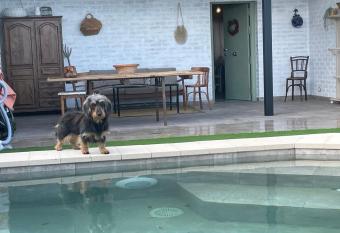 Aura Rural, Montes de Toledo has Balcony rooms